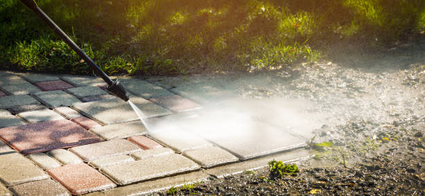 Solar Panel Cleaning in Milledgeville, IL